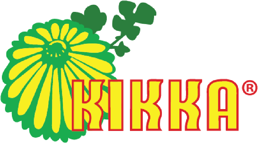 Kikka