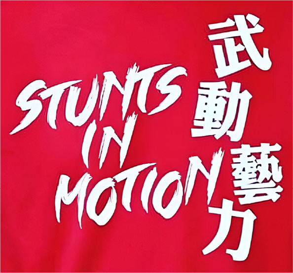 Stunts in Motion